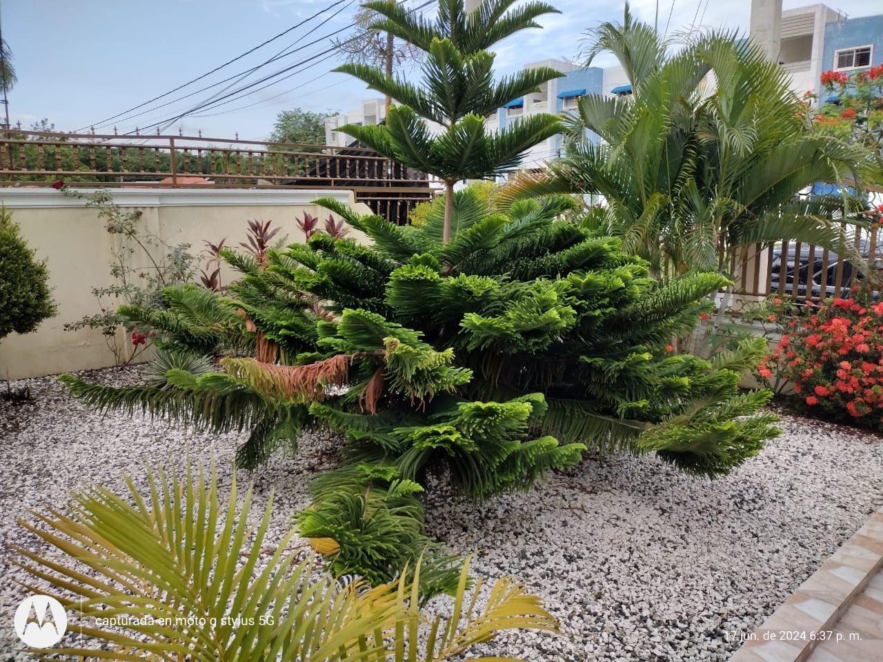 apartamentos - CASA EN VENTA EN EL EMBRUJO III 5