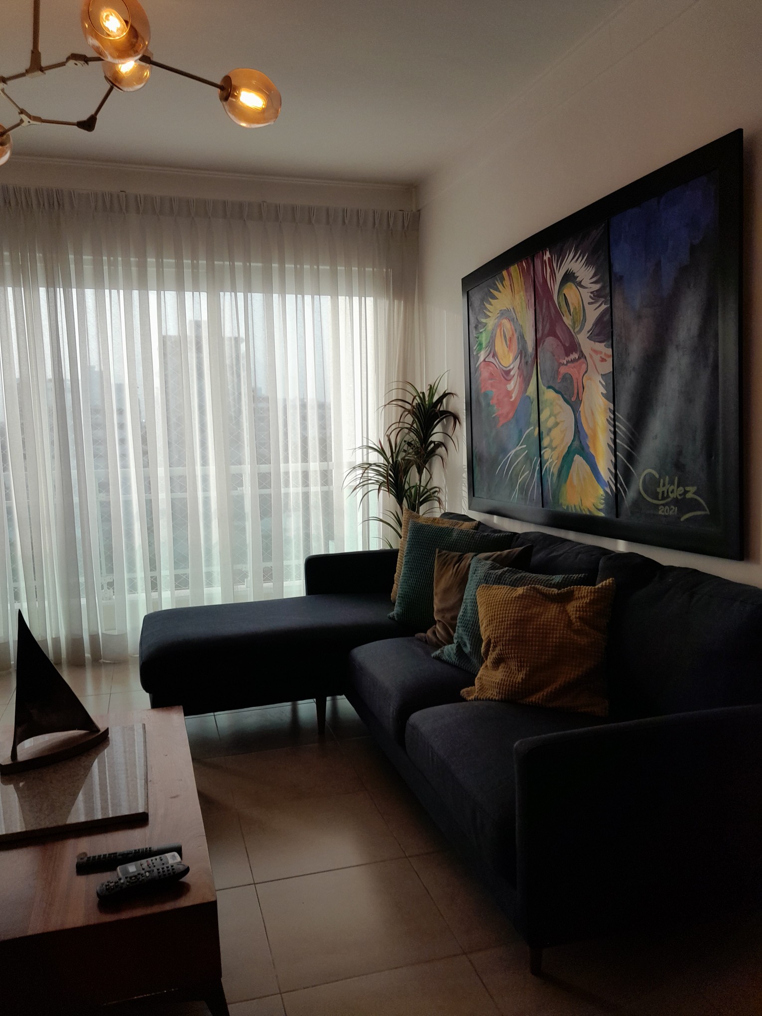 apartamentos - Rento apartamento amueblado en Evaristo Morales 6