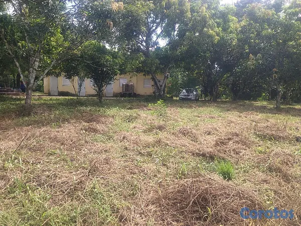 solares y terrenos - finca de 57 tareas con casa campestre en sabana grande de boya  7