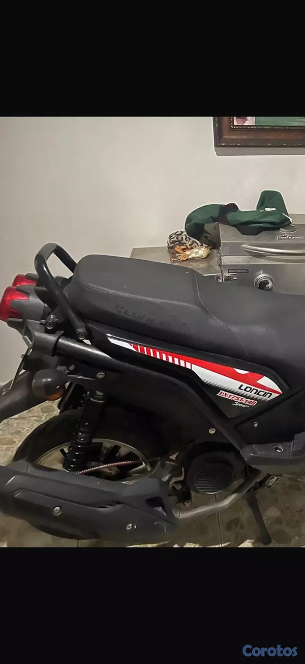 motores y pasolas - pazola loncin LX175t 4