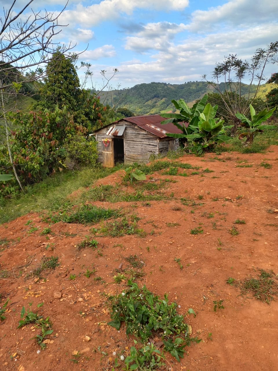 solares y terrenos - finca para agricultura o ganaderia. luz y agua calle buena. 