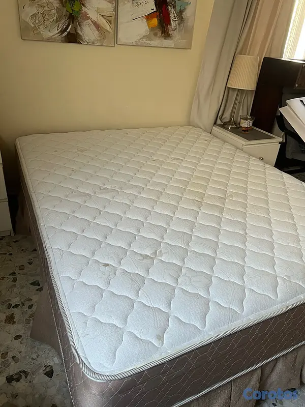 muebles y colchones - Sealy 2