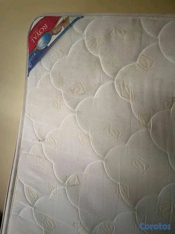 muebles y colchones - Cama de 60" espaldares y colchones  4