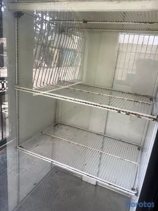 equipos profesionales - Freezer exhibidor  5