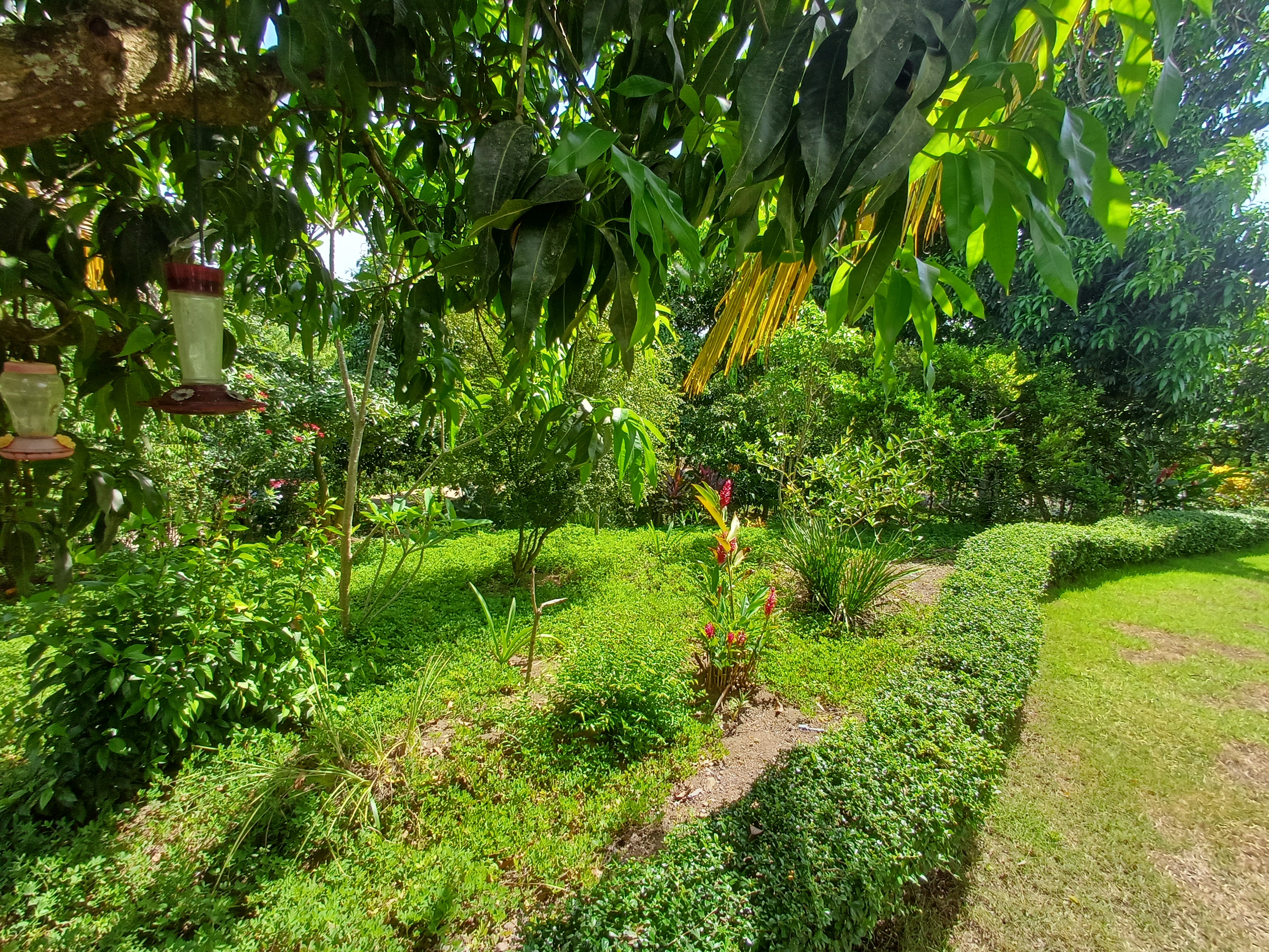 casas vacacionales y villas - Vendo Finca en los Cocos Hato Dama San Cristóbal  1