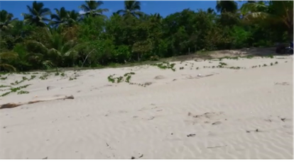 solares y terrenos - Vendo 18. Mm de Mts. Punta cana 
Excelente para proyecto hotelero y villas