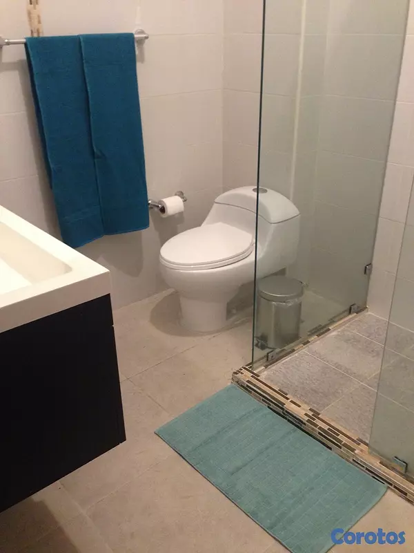 penthouses - Apto. en Gazcue, último piso con terraza 10