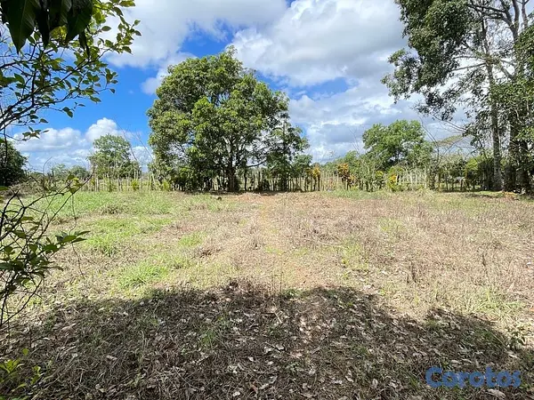 solares y terrenos - Oportunidad: Terreno 3,323 m² con Título en Don Juan, Monte Plata 3