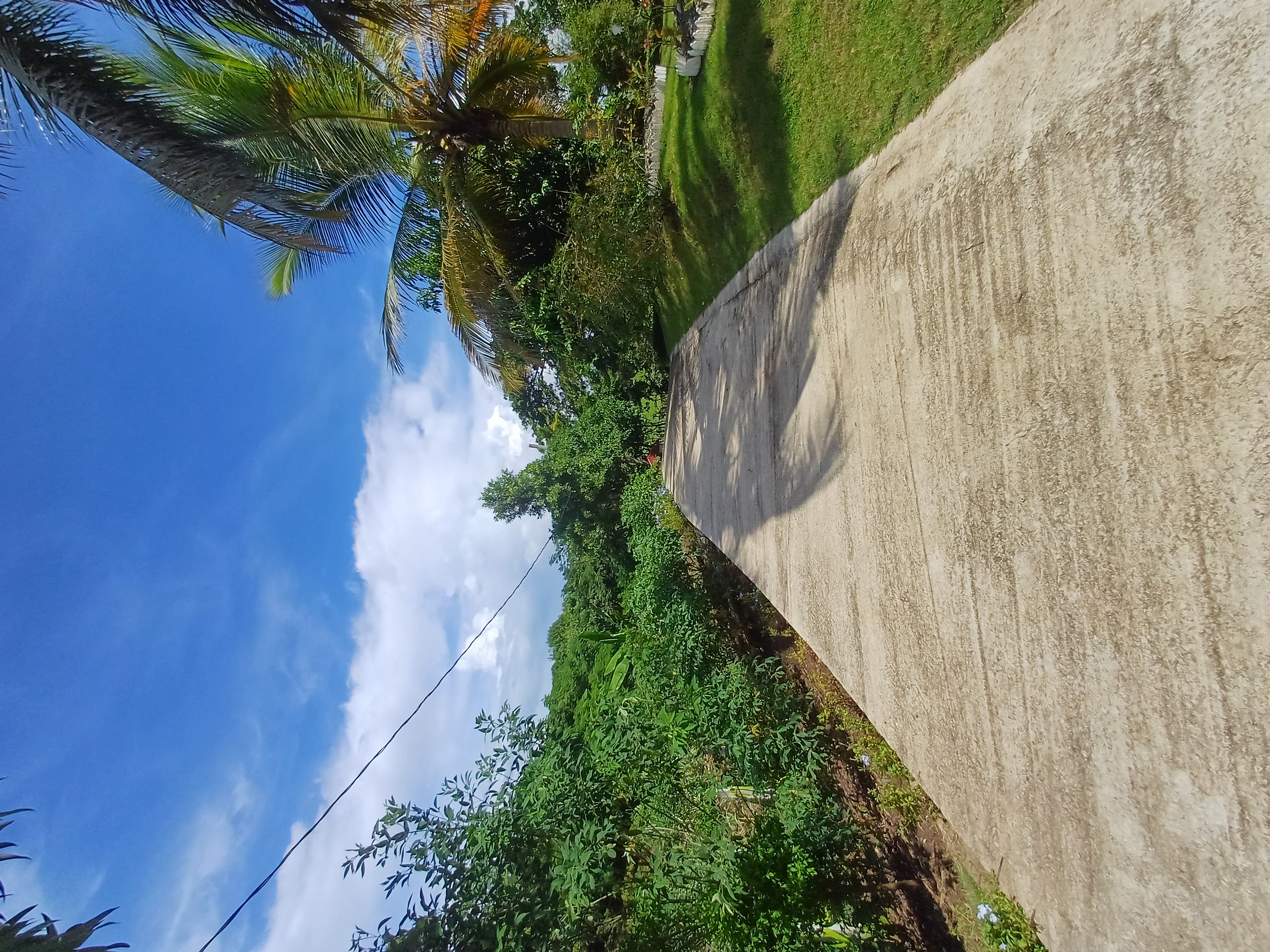 casas vacacionales y villas - Vendo Finca en los Cocos Hato Dama San Cristóbal  2