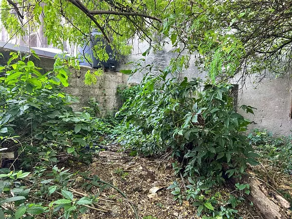 solares y terrenos - Casa / Solar en ZONA COLONIAL 4