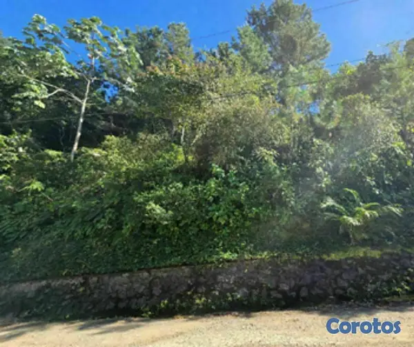 solares y terrenos - Terreno en Venta en Jarabacoa 3