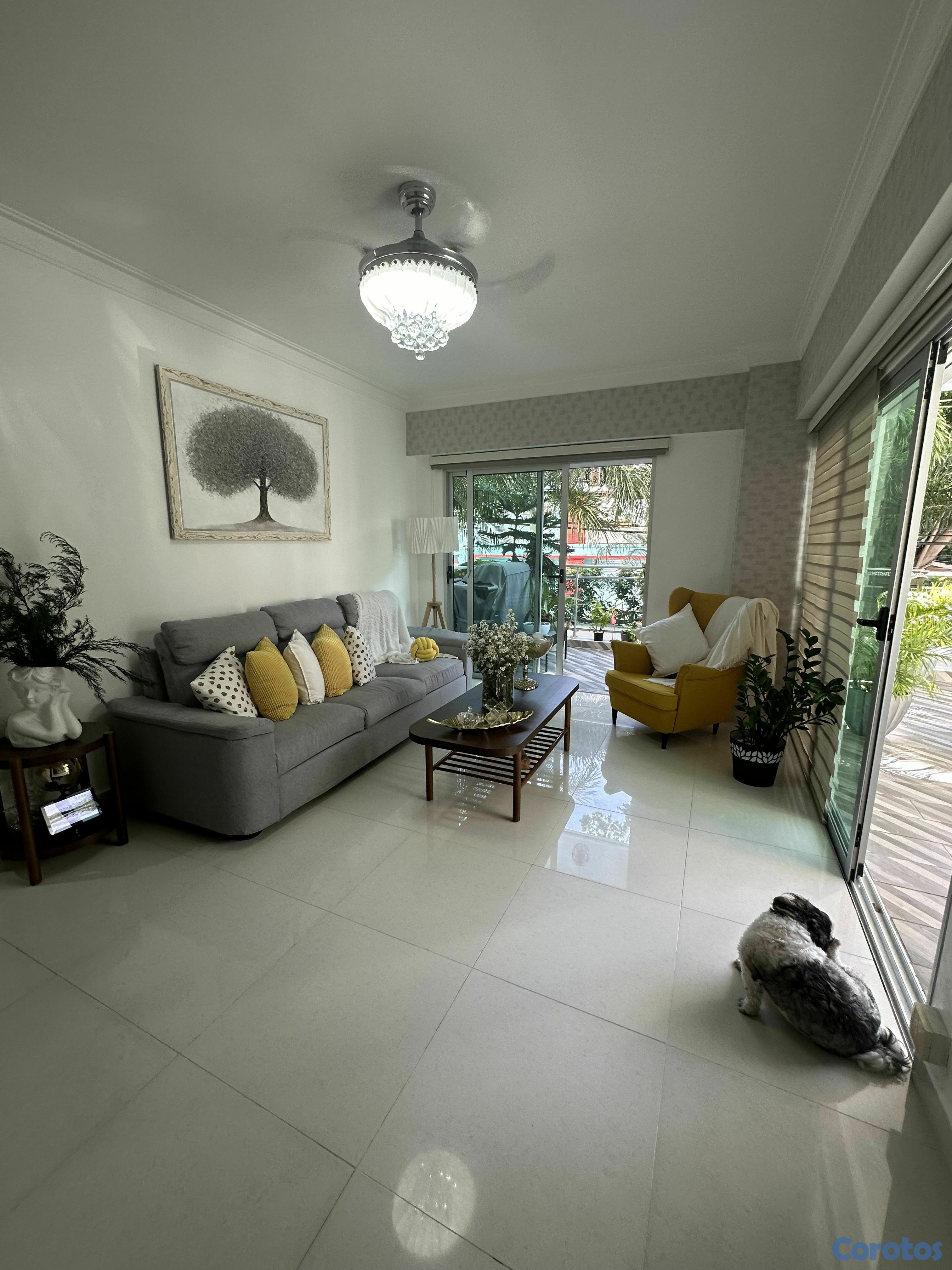 apartamentos - apartamento con terraza en gazcue en venta 4