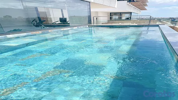 apartamentos - Hermoso Apto Alquiler Arroyo Hondo viejo 2