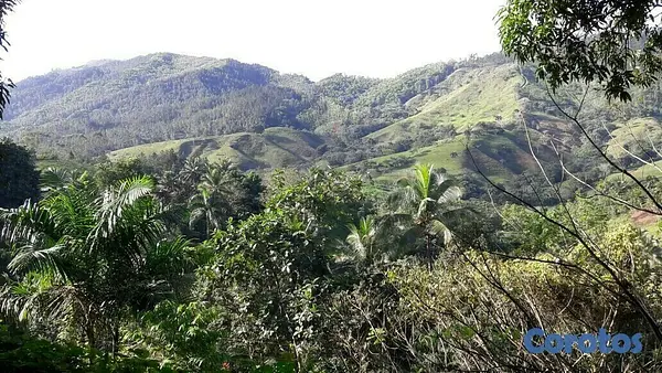 solares y terrenos - Venta de Solares en la Cumbre 2