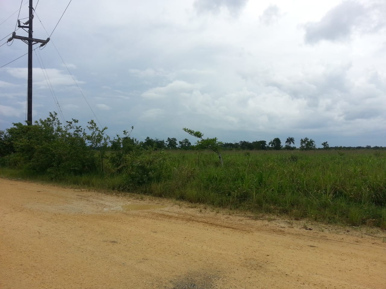 solares y terrenos -  Finca a unos 30 Km de Santo Domingo en Hato Viejo