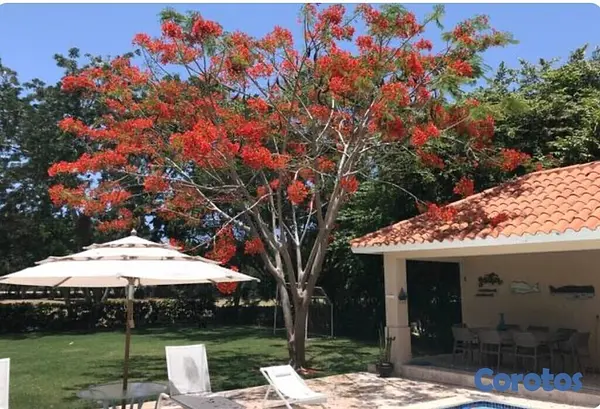 casas vacacionales y villas - villa de dos niveles con vista al campo de golf 10