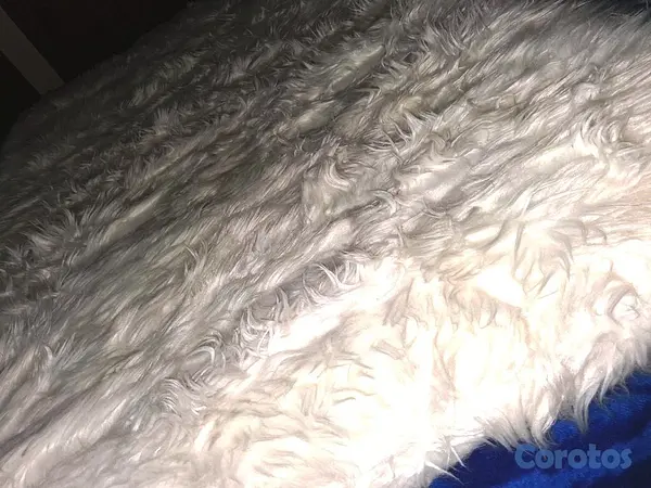 decoración y accesorios - ¡Suavidad de Lujo! Alfombra Puff Blanco Perla (5x3 5