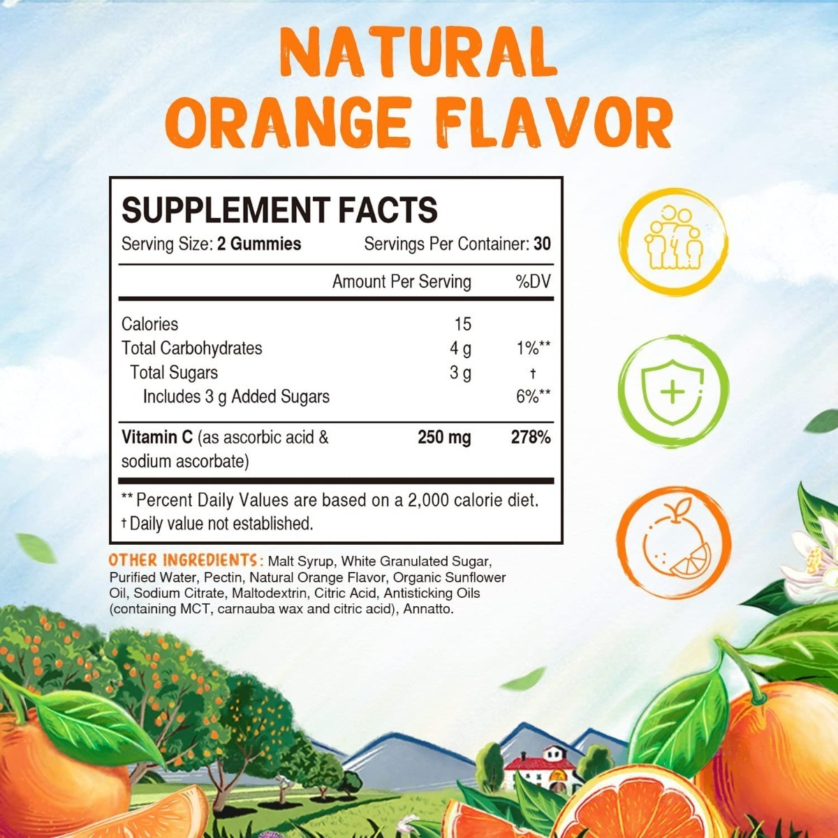 Salud y Equipamiento Médico - Vitamina C Vitalitown 60 Gum - Uni - Unidad A $2792 2