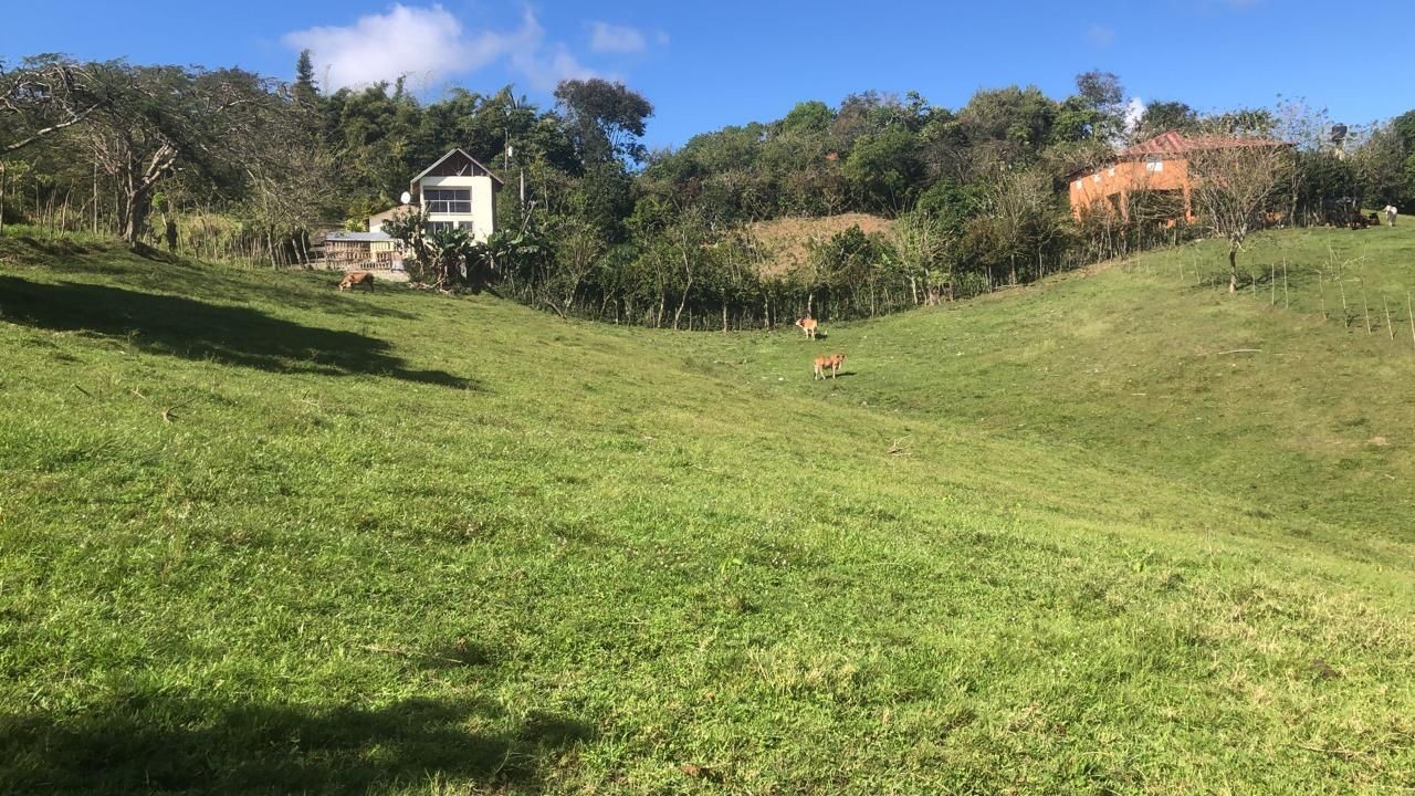 solares y terrenos - Terreno en venta en Jarabacoa, la Vega