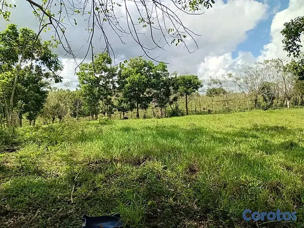 otros inmuebles - finca de 4a tareas en sabana grande de boya  5
