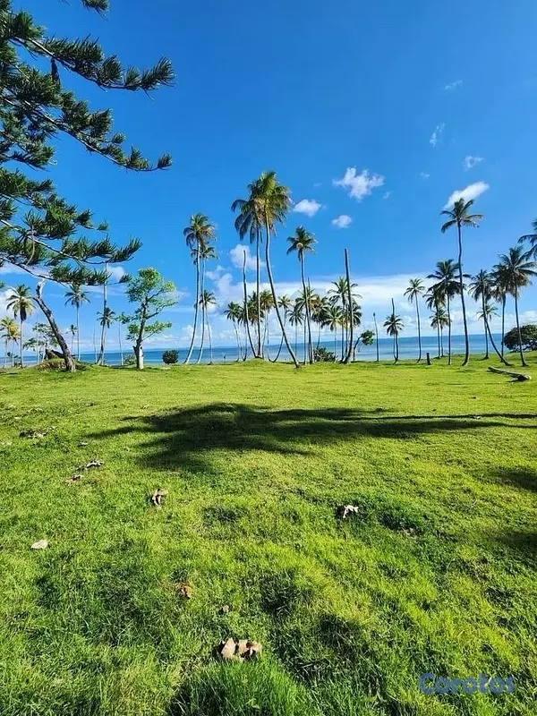 solares y terrenos - venta de solar ubicado en Samana República Dominicana con 17,307mts 4