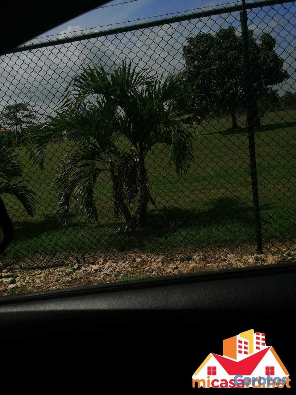 solares y terrenos - Terreno 96,500 m² en Boca Chica: tu gran inversión 4