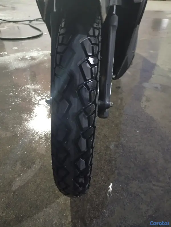 motores y pasolas - Tauro Elite 110 2