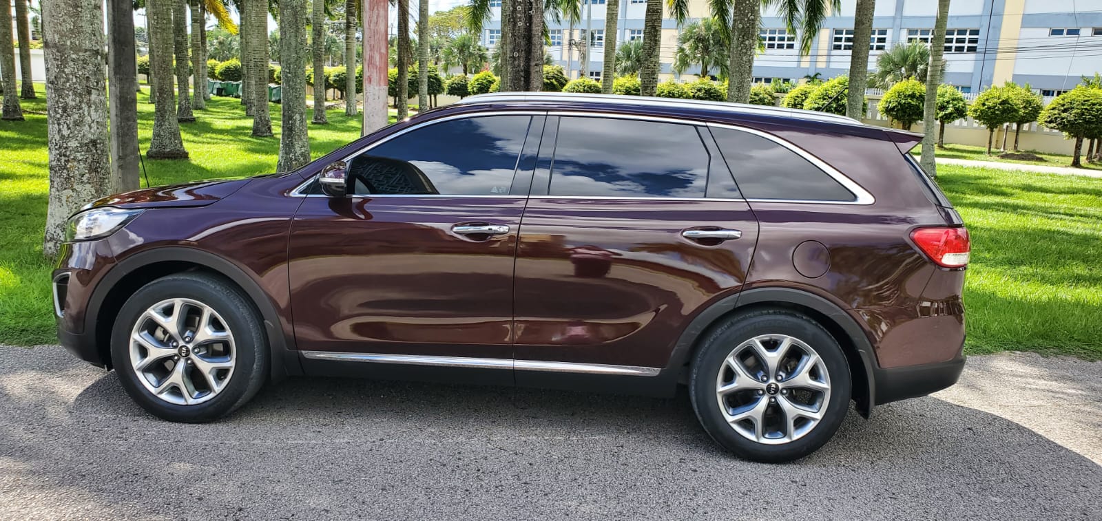 jeepetas y camionetas - kia sorento lx 2019 6