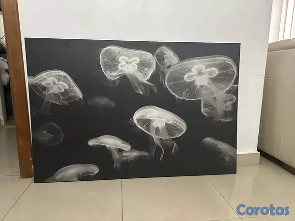 decoración y accesorios - Cuadro canvas de medusas 1