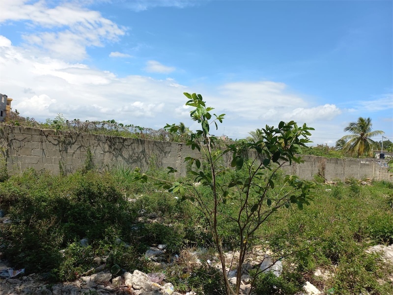 solares y terrenos - Venta de terreno de 48,766 en la marginal de las Américas a 3000 pesos por metro