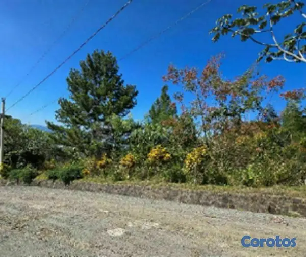 solares y terrenos - Terreno en Venta en Jarabacoa 4