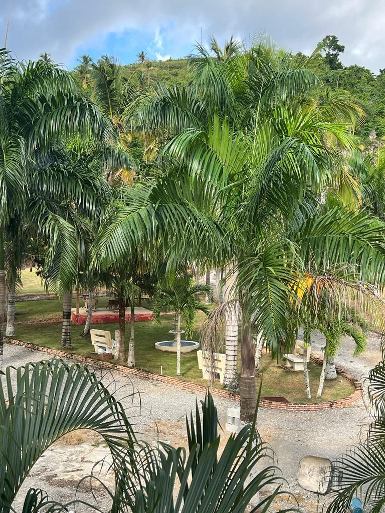 apartamentos - Apartamento en venta  1