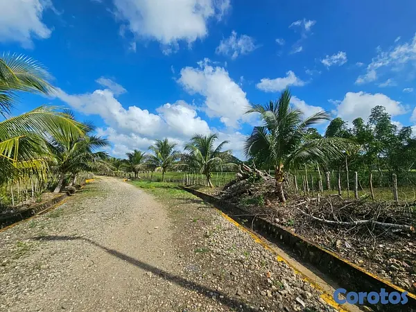 solares y terrenos - Gran Finca Ganadera en San Francisco de Macoris de 15