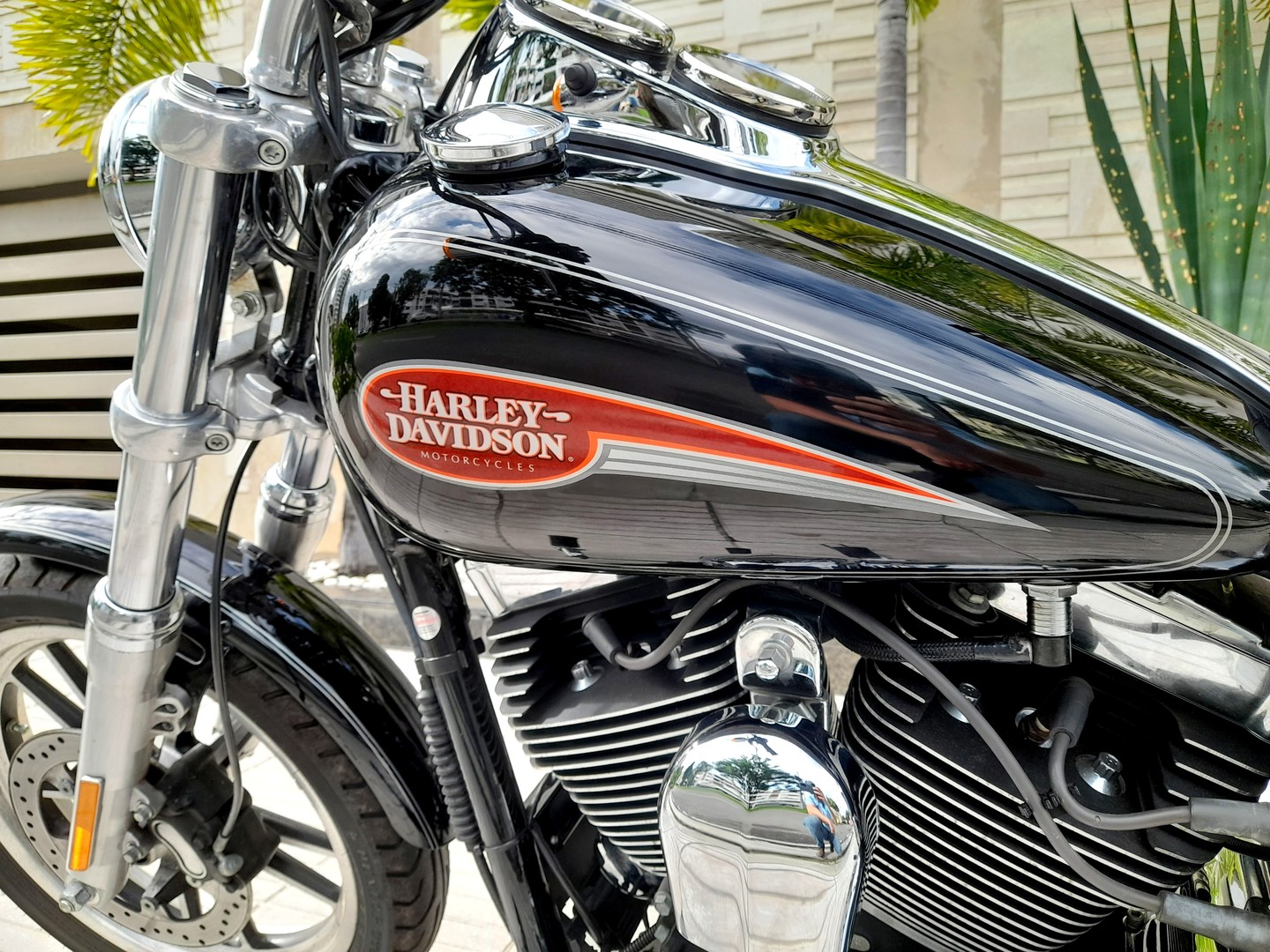 motores y pasolas - Harley Davidson Dyna Low Rider 1600cc 3