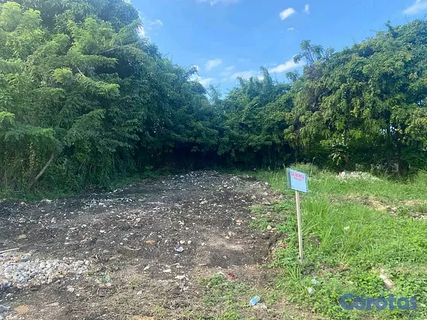 solares y terrenos - hermoso solar en la parte alta de Puerto plata  6