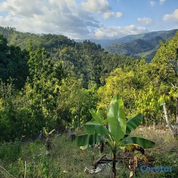 solares y terrenos - Vendo Finca de AGUACATE en Paraíso, BARAHONA, 255, 7