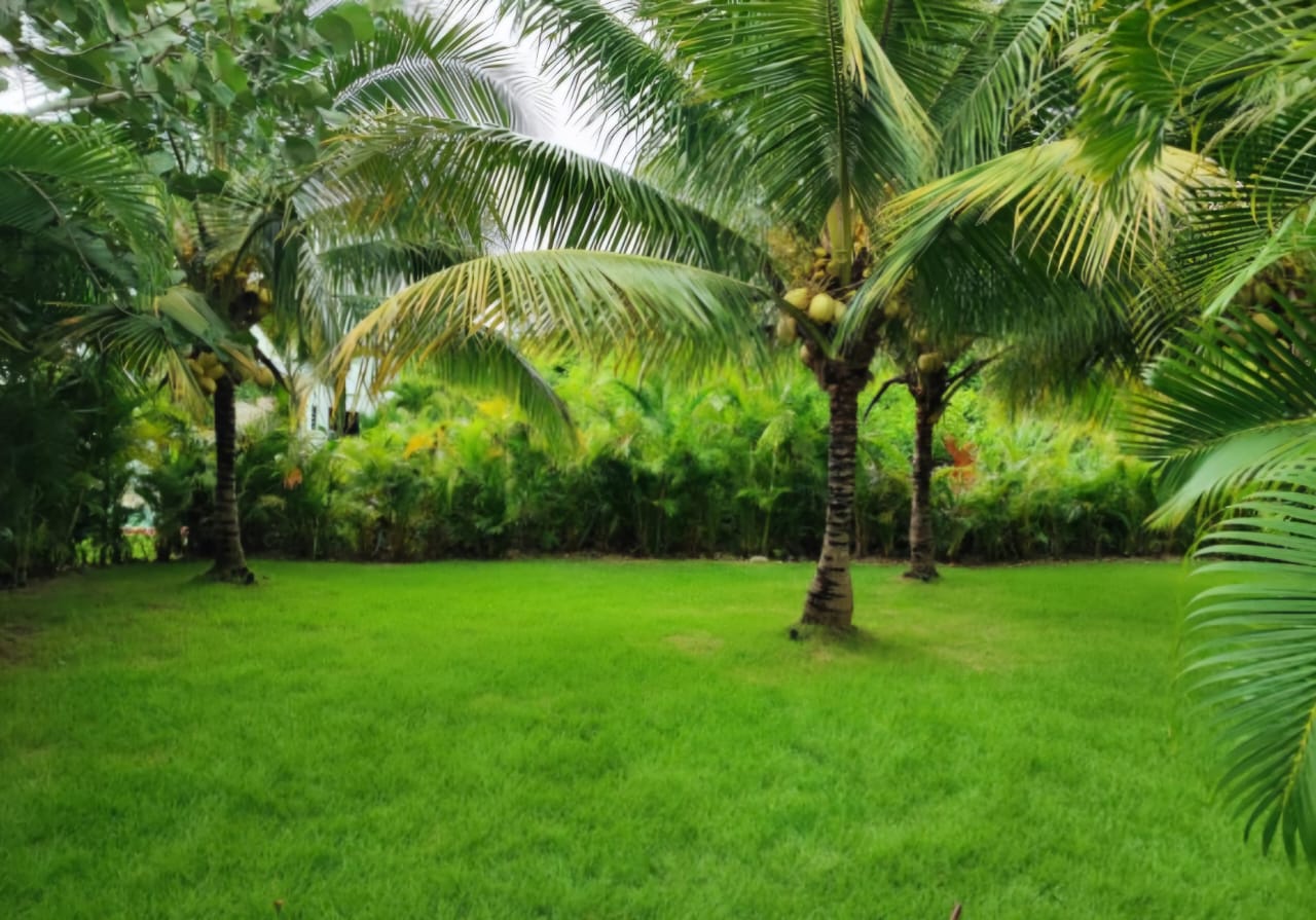 casas vacacionales y villas - Villa en Venta en Playa Nueva Romana 1