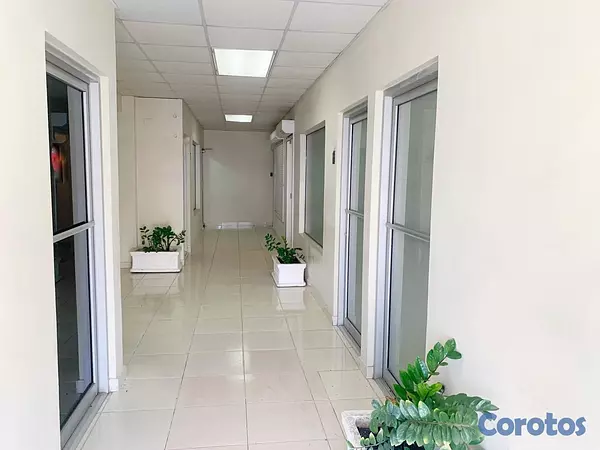 oficinas y locales comerciales - Alquiler en los Prados  2