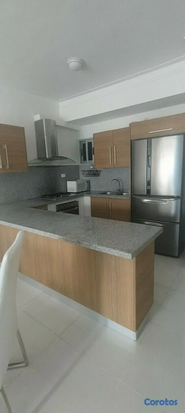 apartamentos - LUJOSO APARTAMENTO BELLA VISTA PARA EJECUTIVO 8