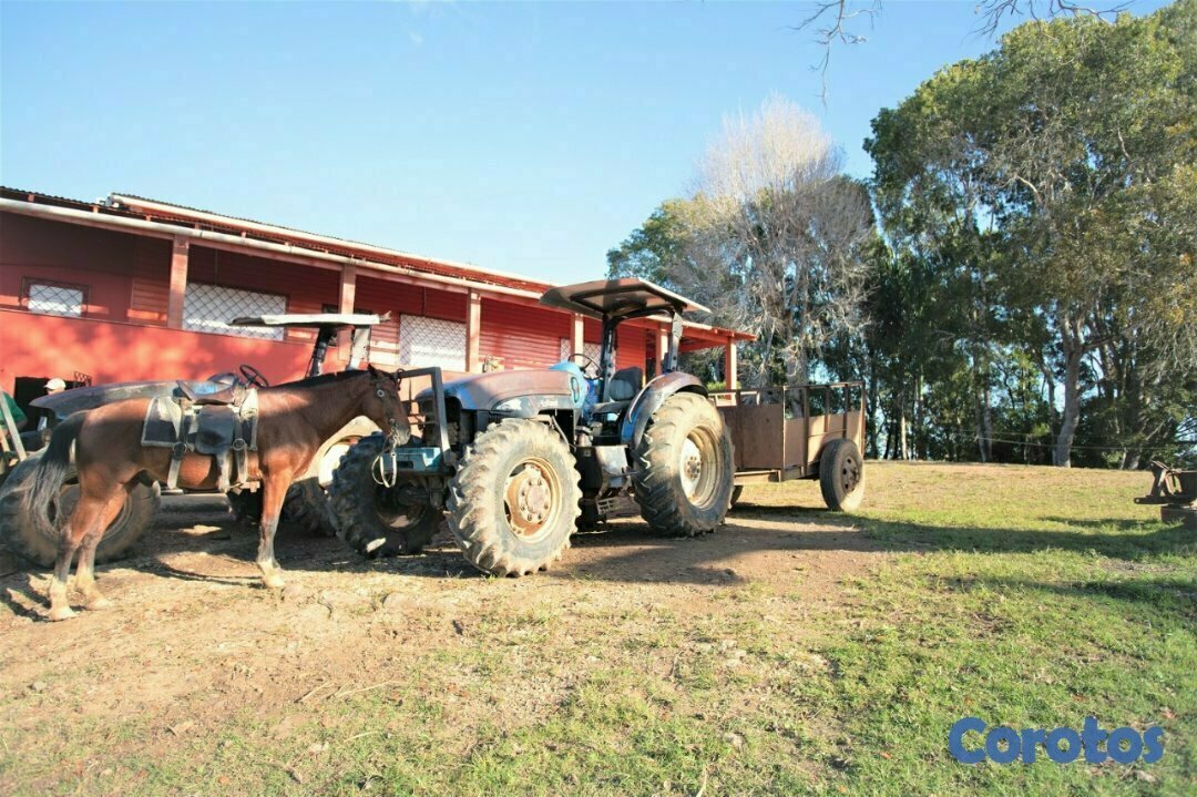 solares y terrenos - Finca de 5232 tareas totalmente ganadera y agrícol 5