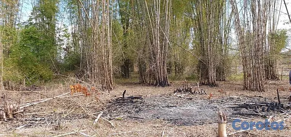 solares y terrenos - FINCA EN MONTE PLATA CON TITULO, DON JUAN 8