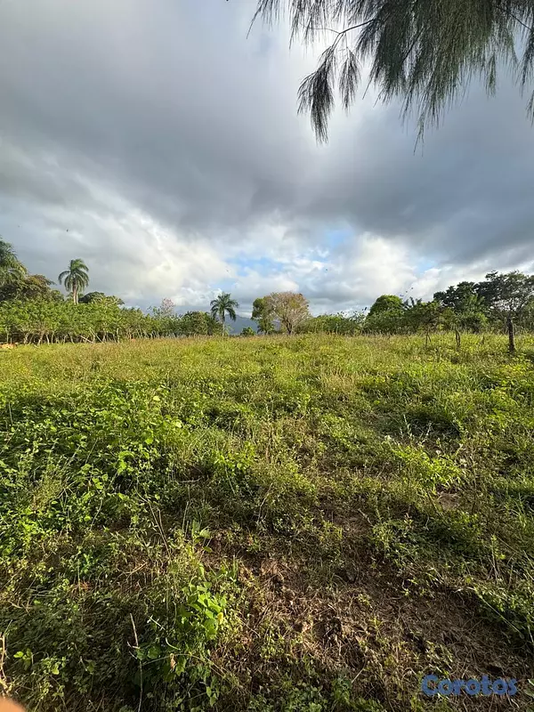 Proyectos - APARTAMENTOS EN PLANO EN PUERTO PLATA A MINUTOS DE 7