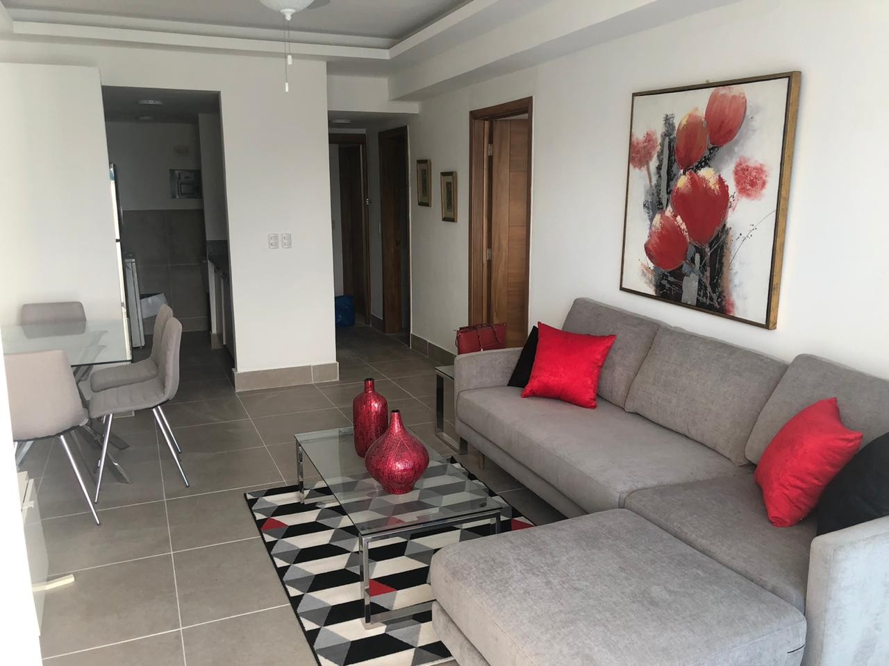 apartamentos -  Apartamento AMUEBLADO EN NACO 3