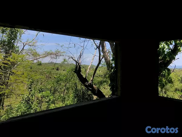 solares y terrenos -  VENDO SOLAR / TERRENO EN NIGUA SAN CRISTOBAL 4