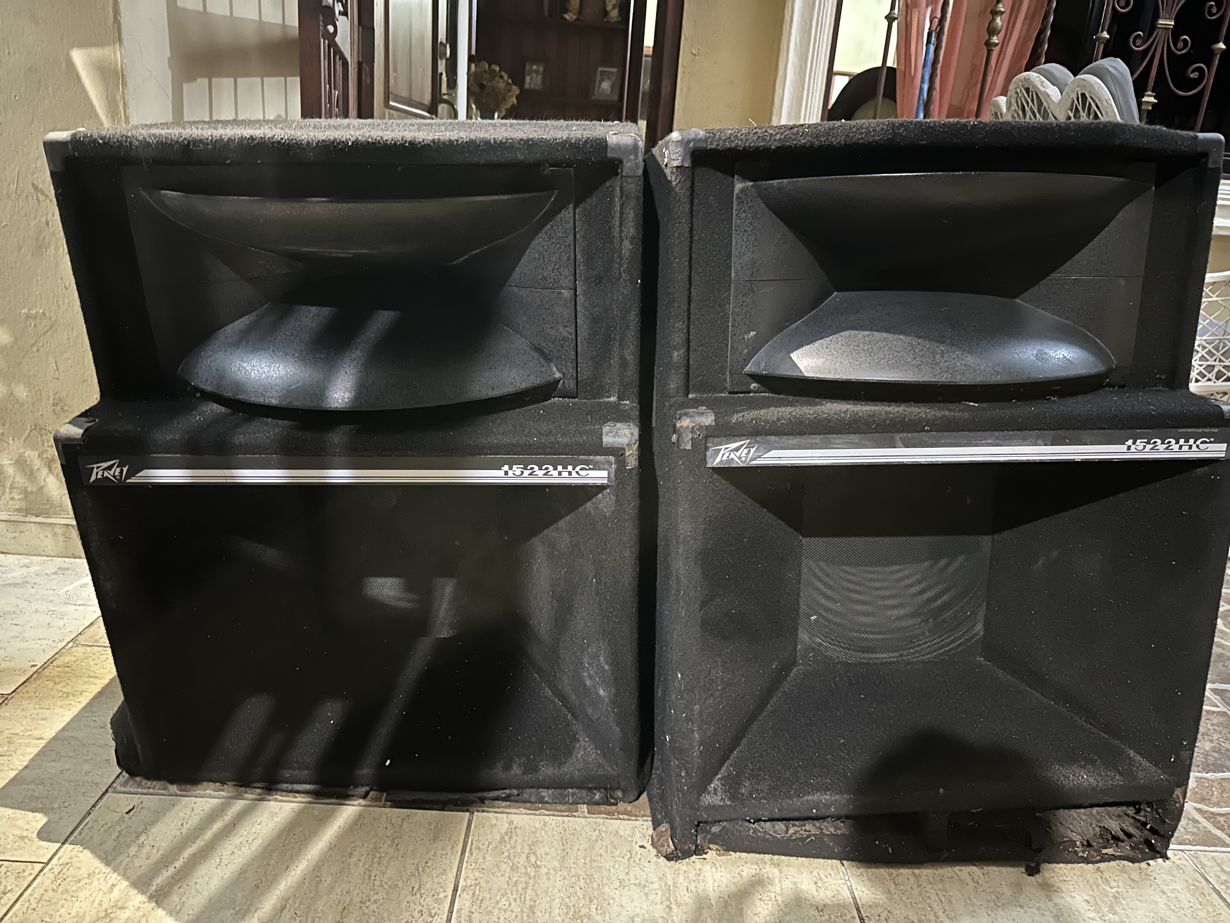 camaras y audio - Par de bocinas peavey C1522  1