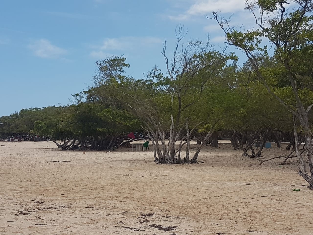 solares y terrenos - Terreno 8,000,000 mts con Muelle y Playa en Barahona 
 2