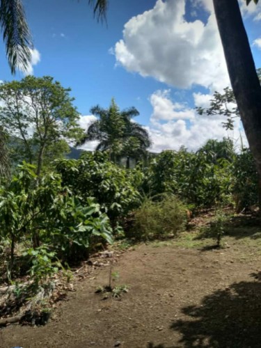 solares y terrenos - 600 tareas de tierra en Monte Plata Sierra Prieta, Yamasá (República Dominicana)