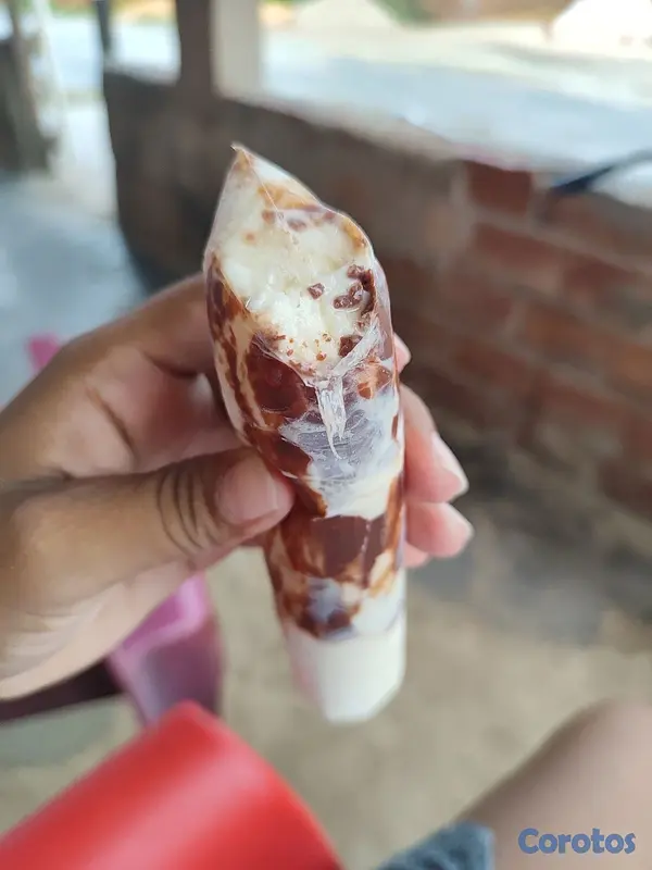 cocina - helados naturales  7