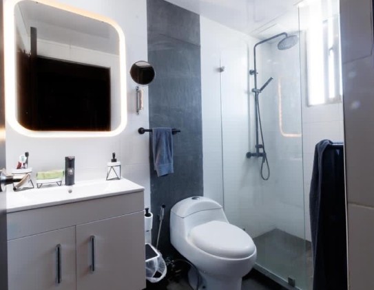 apartamentos - Alquiler de Apartamento amueblado en Naco 2