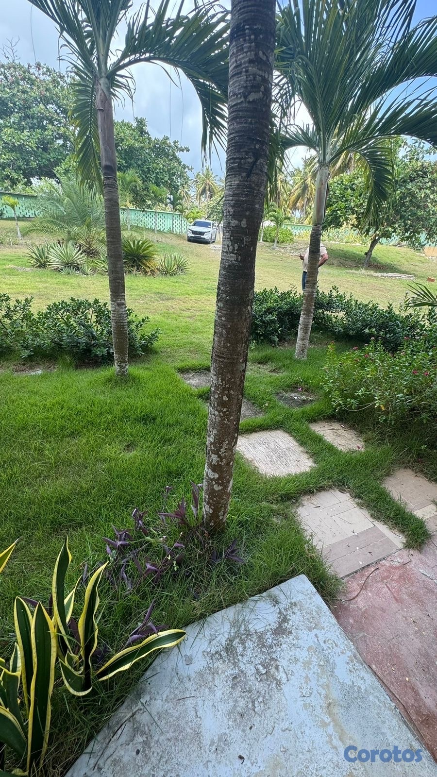 solares y terrenos - terreno frente al mar en Cabarete  7